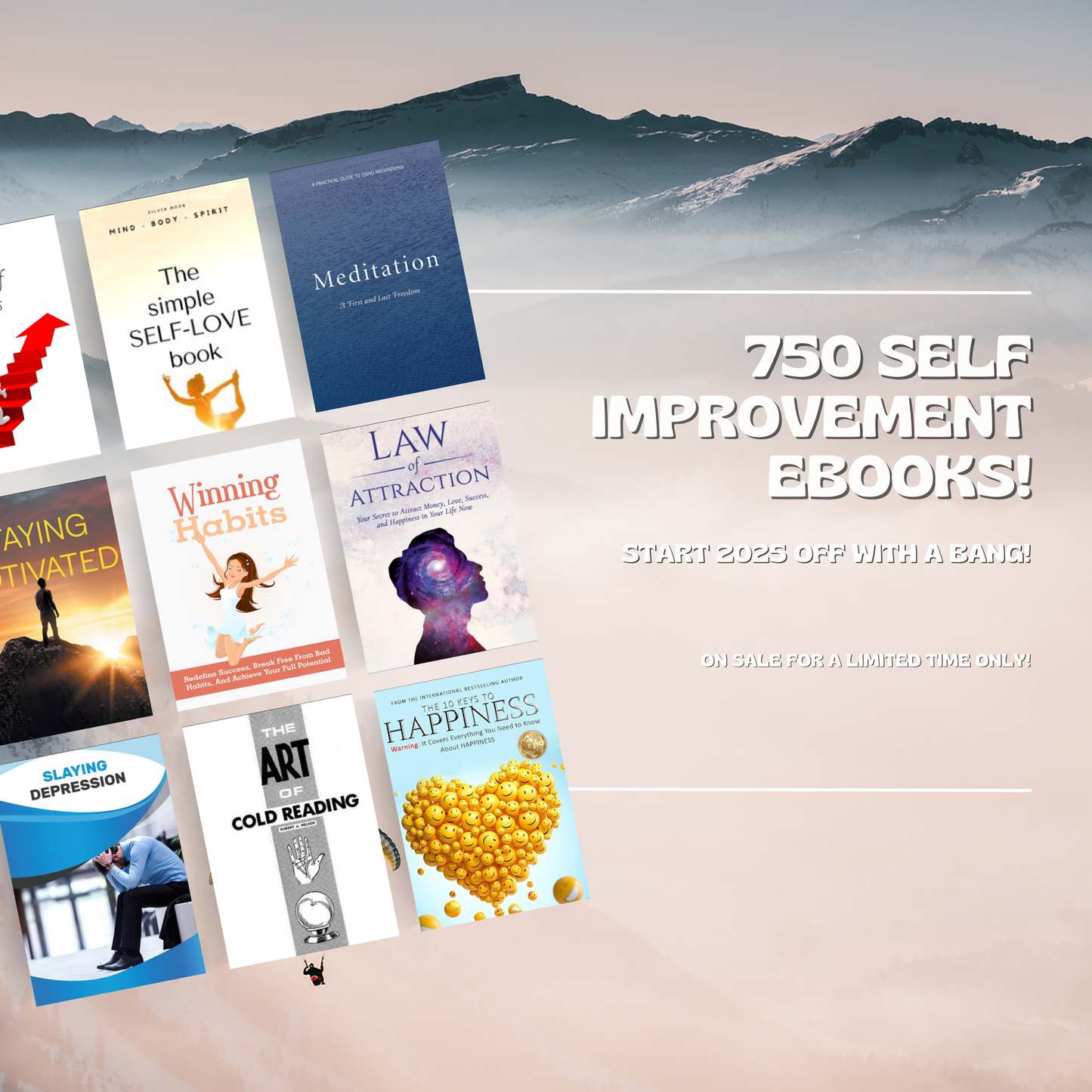 750 PLR EBOOKS Self Improvement Bundle